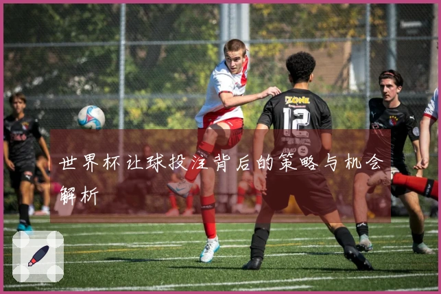 世界杯让球投注背后的策略与机会解析