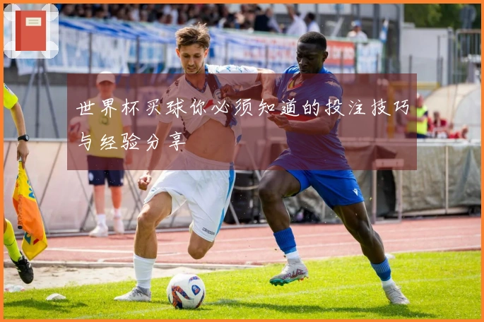 世界杯买球你必须知道的投注技巧与经验分享