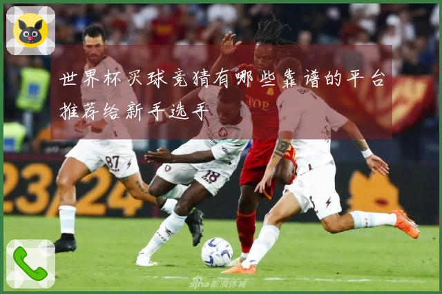 世界杯买球竞猜有哪些靠谱的平台推荐给新手选手