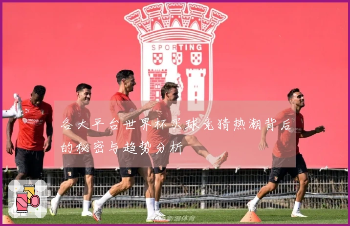 各大平台世界杯买球竞猜热潮背后的秘密与趋势分析