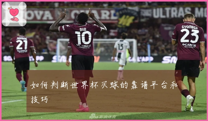 如何判断世界杯买球的靠谱平台和技巧