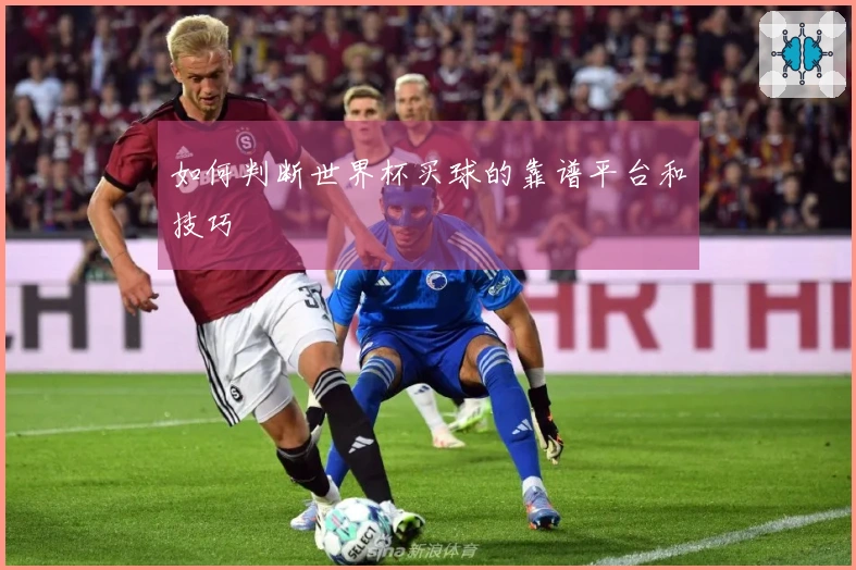 如何判断世界杯买球的靠谱平台和技巧