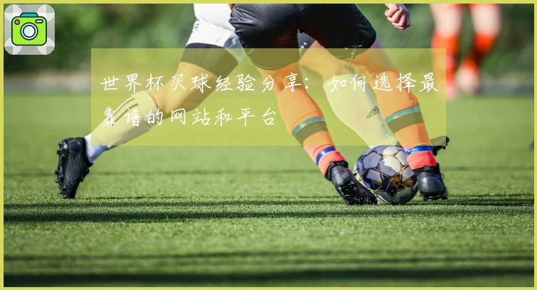 世界杯买球经验分享：如何选择最靠谱的网站和平台