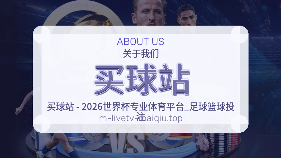 关于 买球站 团队与服务